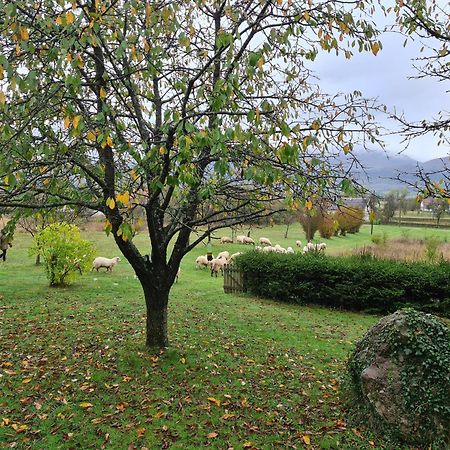 Forestside House Gacka With Relax Area Sinac Dış mekan fotoğraf